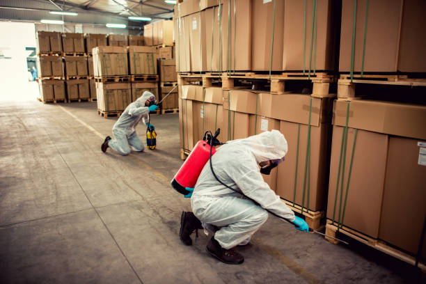 Best Ant Control Services  in Grand Junction, CO