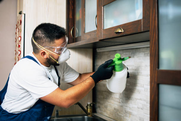 Trusted Grand Junction, CO Pest Control Experts