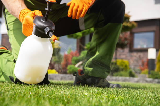 Best Pest Removal Services  in Grand Junction, CO