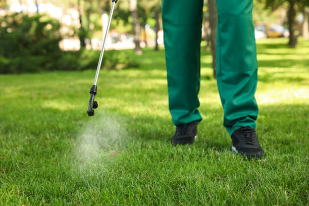 Best Mosquito Control Services  in Grand Junction, CO