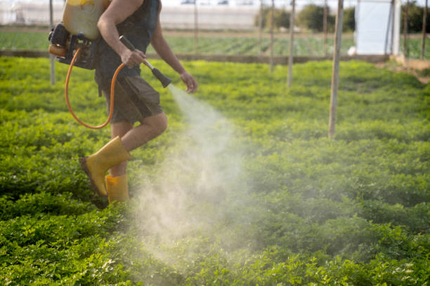 Best Emergency Pest Control  in Grand Junction, CO