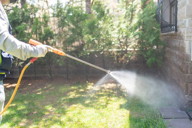 Best Insect Control  in Grand Junction, CO