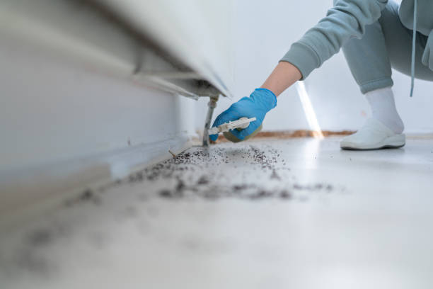 Best Pest Prevention Services  in Grand Junction, CO