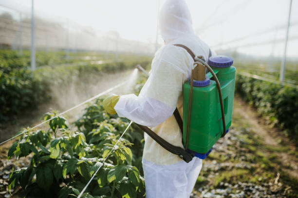 Best Residential Pest Control  in Grand Junction, CO